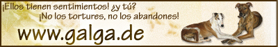 banner galga